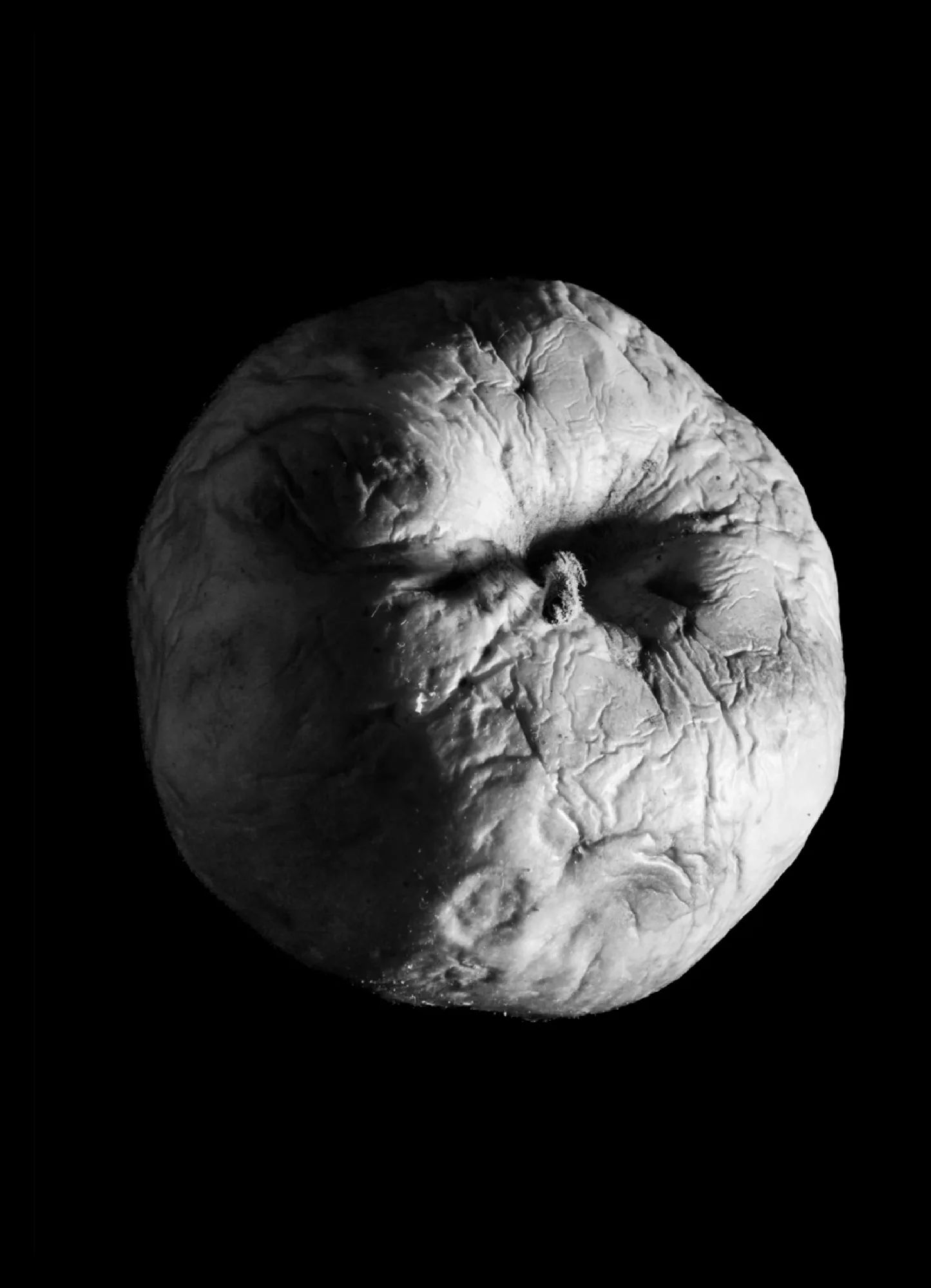 Danie dnia — zdjęcie 19 z 20, 2025, Studium / Dokument / Ekologia