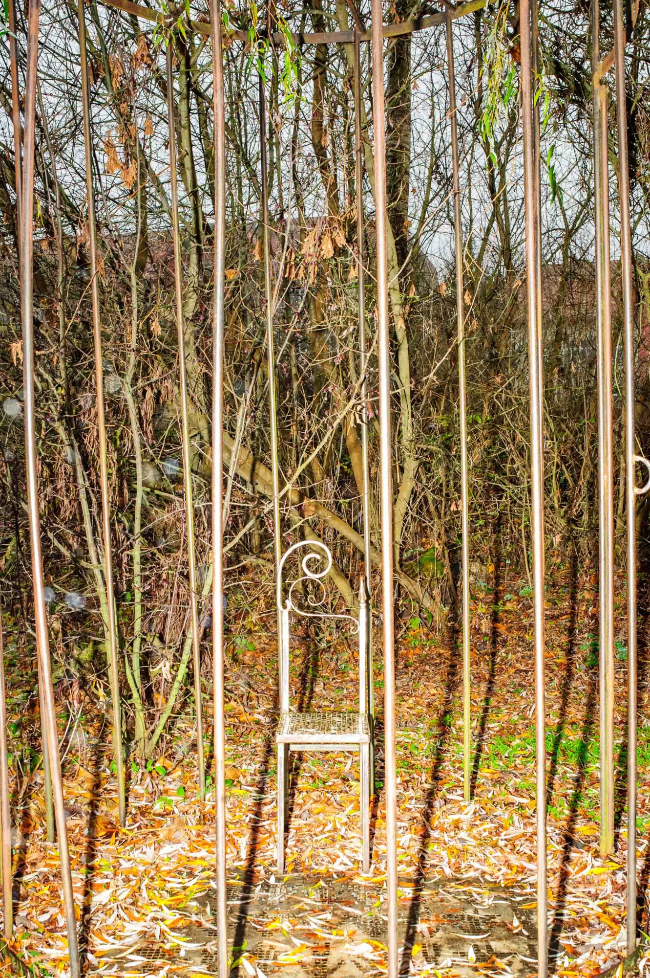 Gra o tron — zdjęcie 12 z 12, 2022, Dokument / Found