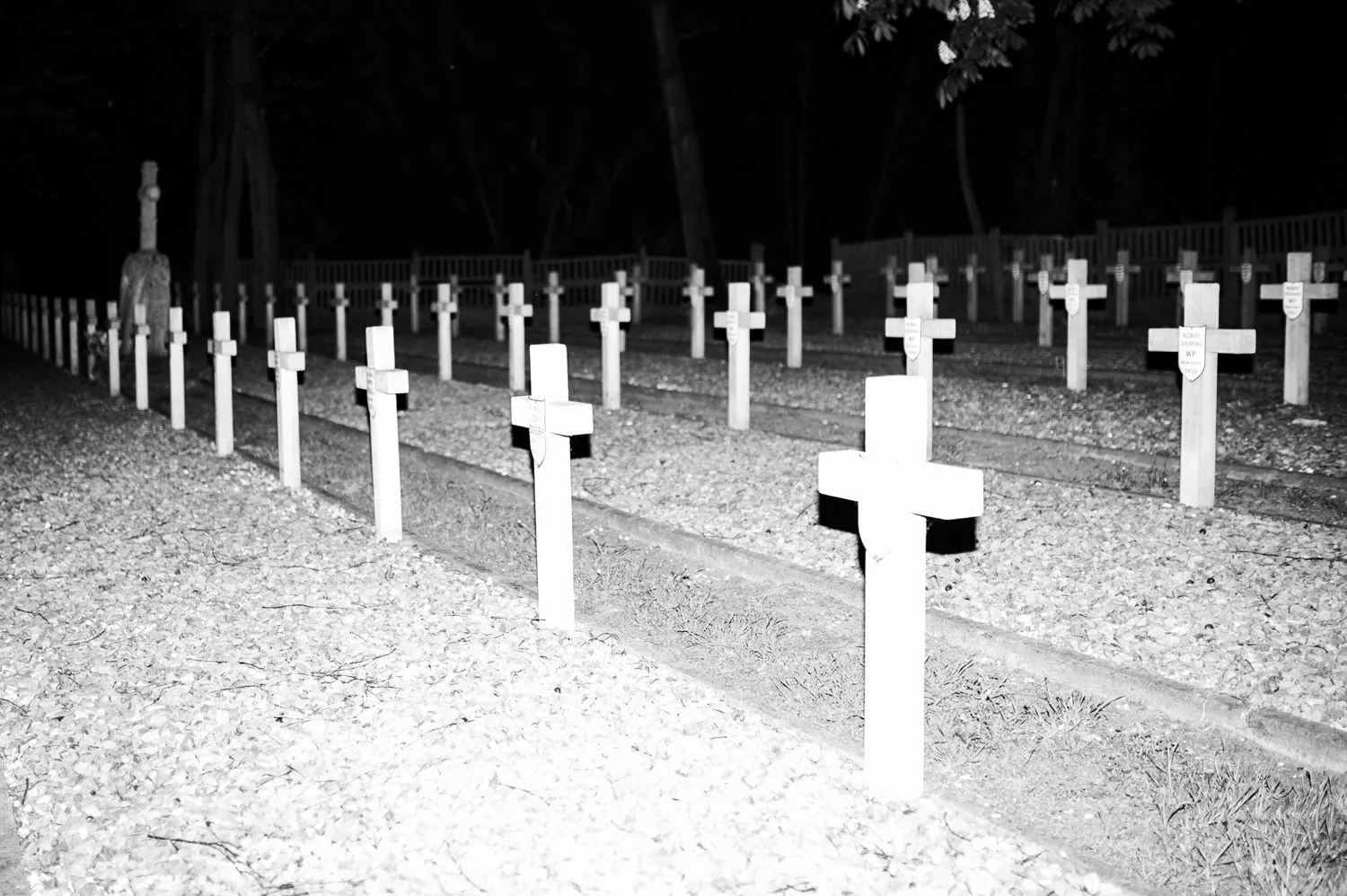 Labirynt — zdjęcie 4 z 15, 2024, Dokument / Książka