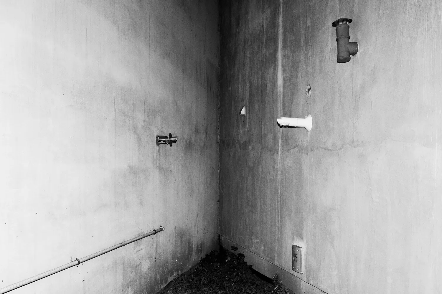 Labirynt — zdjęcie 14 z 15, 2024, Dokument / Książka
